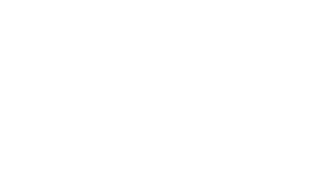 Nimbus Logo